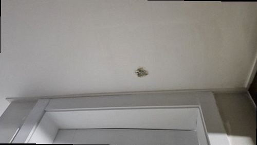 연천 누수탐지 왕징면 전원주택 마당 수도관 시공 후기 사진
