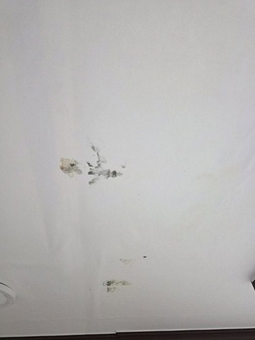 분당구 누수탐지 판교동 아파트 15층 안방 시공 후기 사진