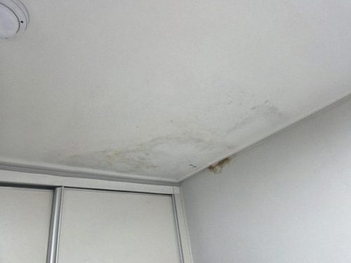 누수탐지 벽체 측정 지점을 표시한 점검 도면