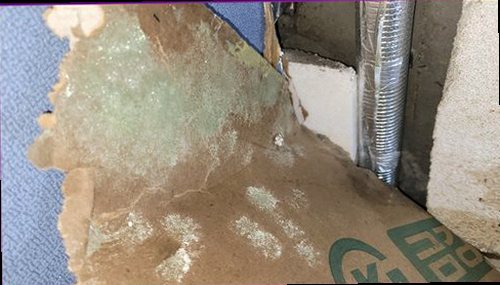 누수탐지 벽면에 나타난 누수 흔적과 현장 확인 모습