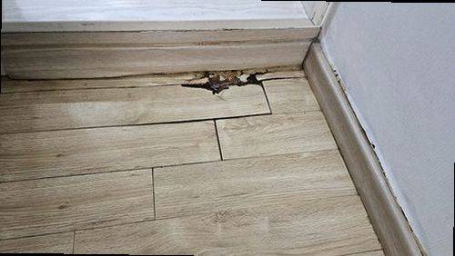 누수탐지 아파트 천장 얼룩이 번진 모습을 기록하는 장면