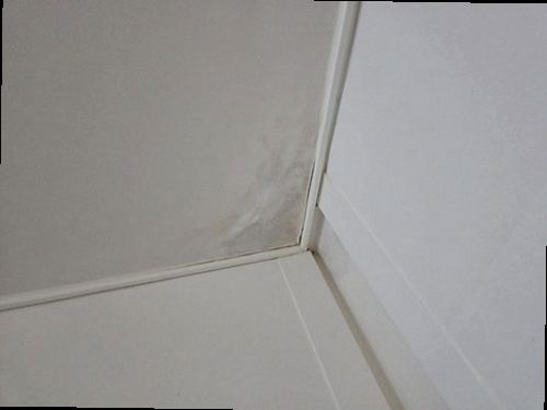 영종구 재점검 기록 영종구 재점검 기록