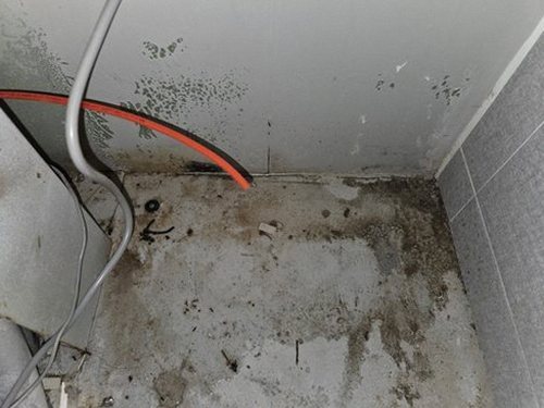 누수탐지 영흥면 누수탐지 천장벽지변색은 왜 반복될까
