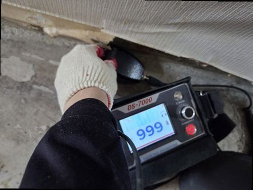 누수탐지 벽지와 벽면의 들뜸, 변색, 몰딩 주변 상태를 확인하는 모습