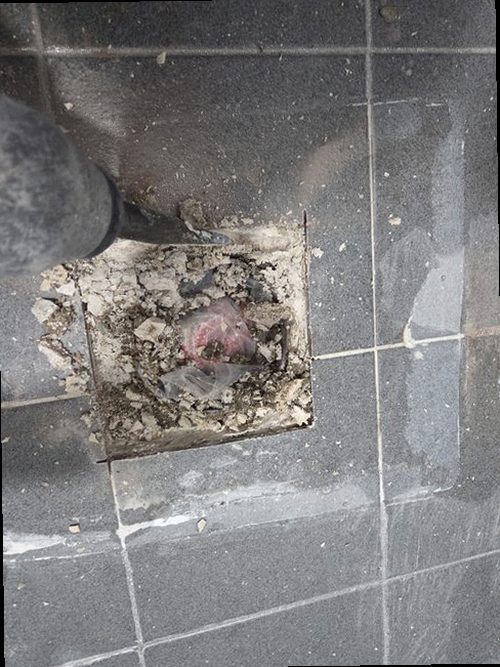 누수탐지 풍기동 누수탐지 아파트 천장 얼룩 뒤에 숨은 원인 비교