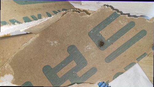서초구 누수탐지 배관 구간별 측정 결과를 비교하는 누수 점검 장면