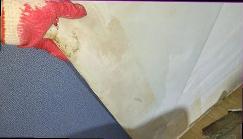 서초구 누수탐지 벽면과 천장 누수 흔적을 확인하는 현장 점검