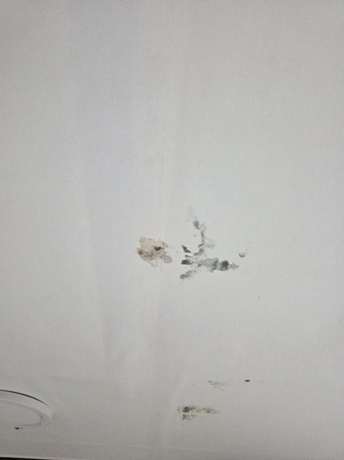 동작구 공정 확정 동작구 공정 확정