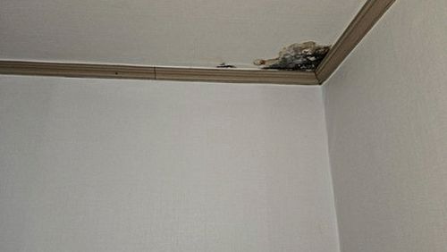 여주 누수탐지 가남읍 단독주택 보일러실 바닥 시공 후기 사진