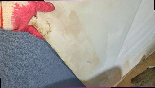 동두천 누수탐지 천장과 벽면의 누수 흔적을 확인하는 모습