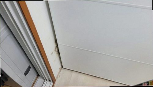 의정부 누수탐지 천장 물자국과 주변 상태를 살펴보는 현장 점검 모습