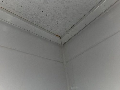 누수탐지 신흥동 누수탐지 아파트 안방 천장 얼룩 반나절 확인