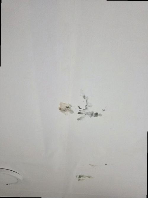 효행구 내용 청취