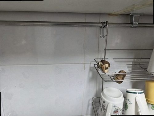 금천구 누수탐지 가산동 오피스텔 11층 욕실 시공 후기 사진