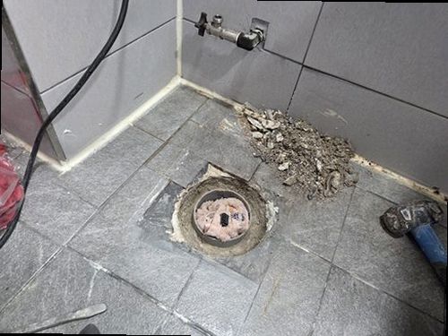 노원구 누수탐지 공릉동 빌라 2층 욕실 천장 시공 후기 사진