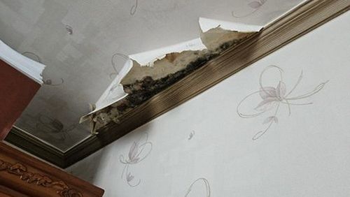 누수탐지 행당동 누수탐지 바닥물샘책임 사례로 본 원인과 확인 순서