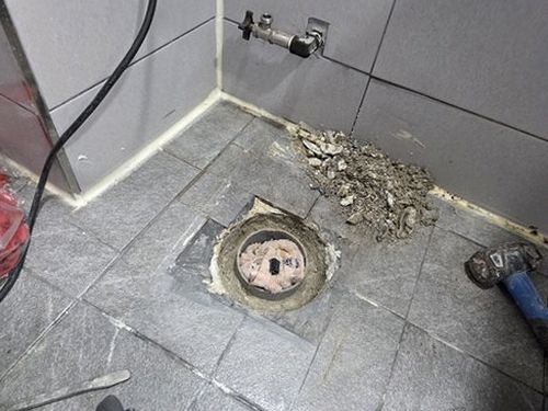 성동구 누수탐지 마장동 빌라 2층 욕실 벽면 시공 후기 사진
