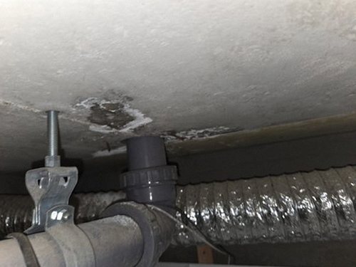 누수탐지 누수 의심 구역과 주변 설비를 확인하는 점검 과정
