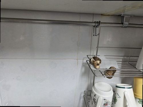 서대문구 누수탐지 북가좌동 아파트 5층 주방 옆 다용도실 시공 후기 사진