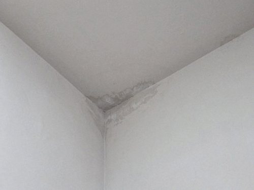 누수탐지 대림동 누수탐지 안방벽지물방울 사례 처치 전후 달라진 결과