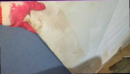 광명 누수탐지 배관 구간의 수압과 습기 상태를 확인하는 점검 장면