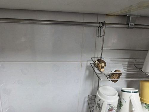 누수탐지 배관 점검을 위해 장비를 설치하는 작업 장면