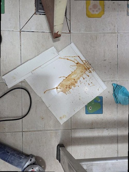 누수탐지 계수동 누수탐지 아파트천장누수흔적 확인 순서 3단계