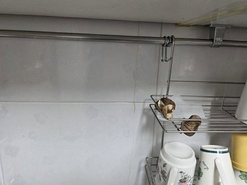 누수탐지 고천동 누수탐지 아파트 주방벽면 누수 빠른 원인 확인