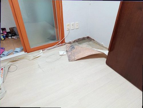 평택 누수탐지 누수 발생 위치와 주변 습기 상태를 확인하는 점검 현장