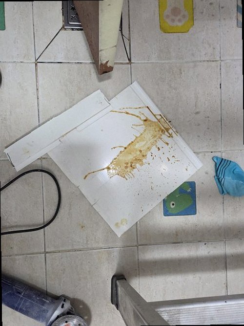 소사구 누수탐지 누수 흔적과 배관 주변을 확인하는 점검 과정