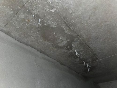 누수탐지 본오동 누수탐지 벽지 들뜸 원인, 검증 끝에 찾은 해결