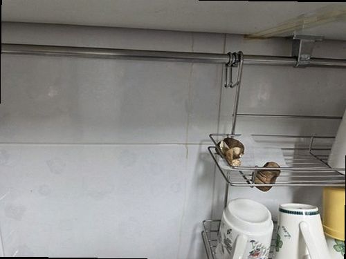 누수탐지 하갈동 누수탐지 아파트 싱크대 물샘 점검과 전문 탐지 비교
