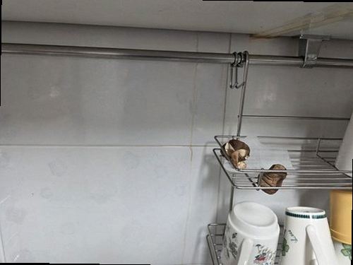 누수탐지 싱크대 하부장과 벽지 물방울 자국을 함께 점검하는 장면