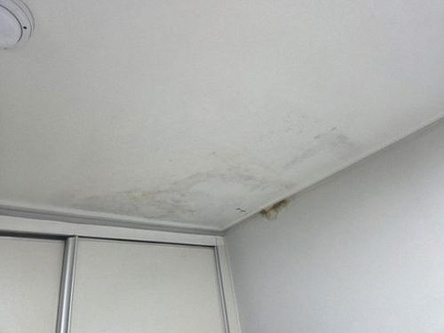 누수탐지 고봉동 누수탐지 안방 얼룩 마무리하는 아파트 점검