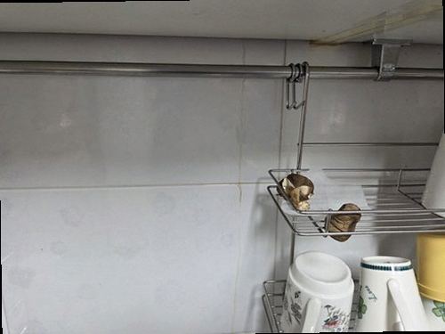 일산동구 누수탐지 백마동 아파트 8층 욕실 인접 벽 시공 후기 사진