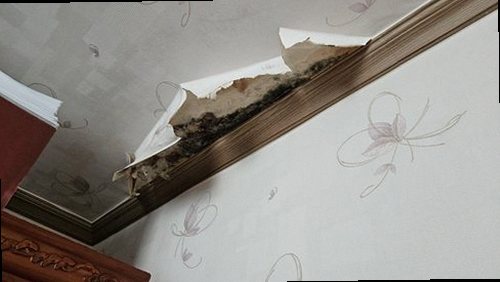 누수탐지 논현동 누수탐지 아파트 바닥 물 번짐 사례로 본 원인 찾기