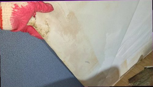 남동구 누수탐지 천장과 벽면에 나타난 누수 흔적을 확인하는 현장 점검 모습