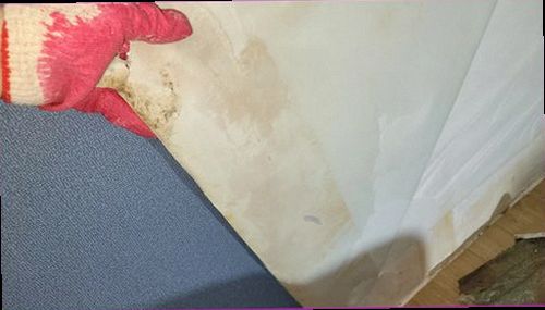 강남구 누수탐지 천장과 벽면의 누수 흔적을 확인하는 모습
