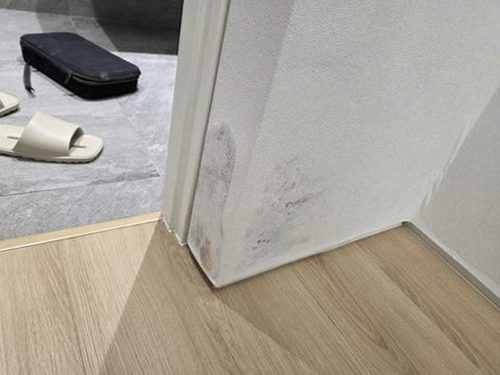 누수탐지 고척동 누수탐지 당일 확인 가능한 거실 천장 누수 점검