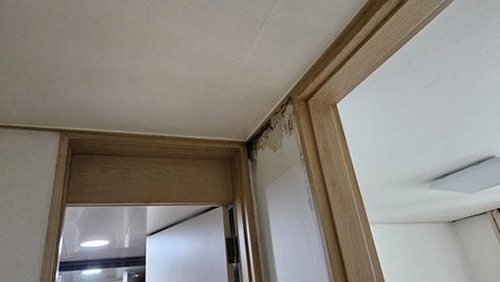 누수탐지 도마교동 누수탐지 빌라 벽지 물샘 흔적 방치하면 어떻게 될까