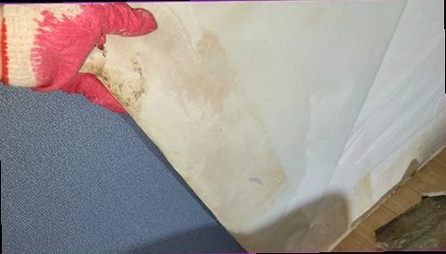 안성 누수탐지 욕실 천장과 벽면에 나타난 누수 흔적을 확인하는 모습