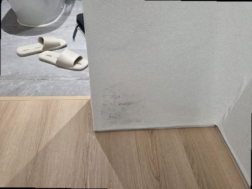 누수탐지 월롱면 누수탐지 아파트 거실 천장 얼룩 원인 분석으로 해결