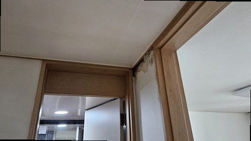 의정부 누수탐지 자일동 전원주택 1층 작은방 바닥 시공 후기 사진