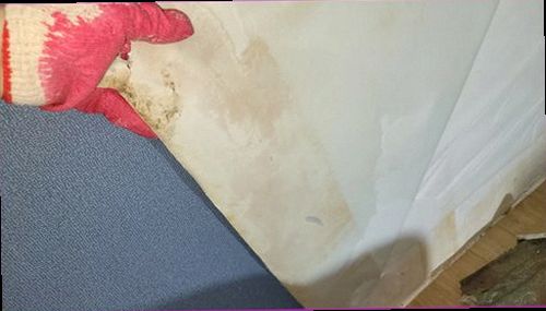 권선구 누수탐지 누수 탐지 결과와 수분 측정값을 대조하는 현장 기록