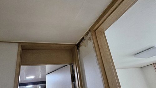 누수탐지 천장 점검 구멍을 통해 배관 접합부를 확인하는 작업 장면