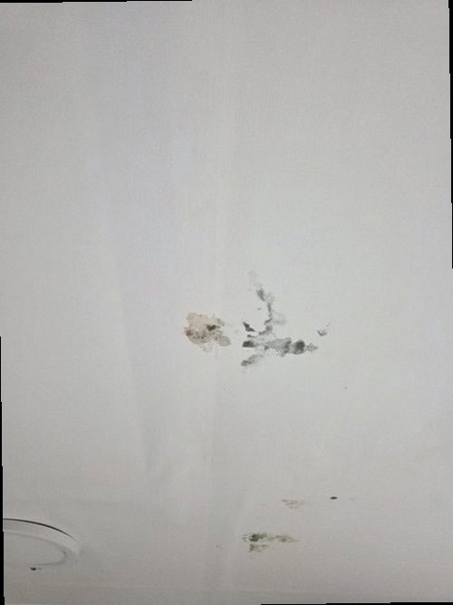 수지구 누수탐지 벽과 천장에 번진 물자국 및 주변 가구 상태를 살펴보는 모습