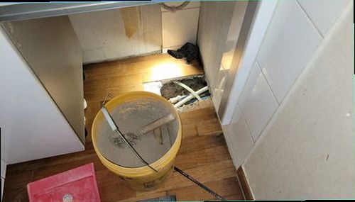 처인구 누수탐지 벽과 바닥의 누수 흔적 및 배관 점검 과정