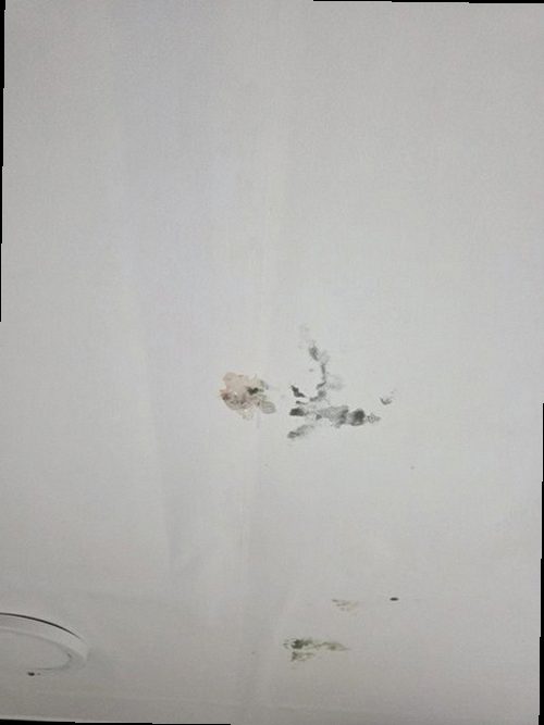 효행구 현장 작업