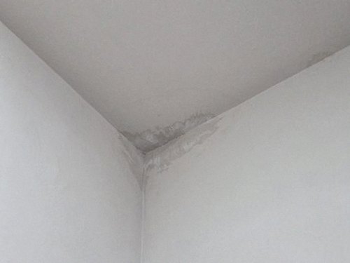 누수탐지 구산동 누수탐지 아파트 안방 천장 얼룩이 사라진 해결 과정