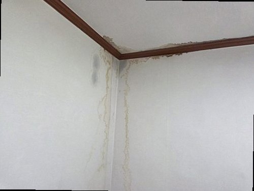 광주 현장 작업